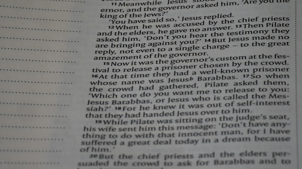close up, bokeh, bible, new testament, christian, history, text, reading, bible study, devotions, christianity, scripture, Matthew, Synoptic Gospel, Gospel,